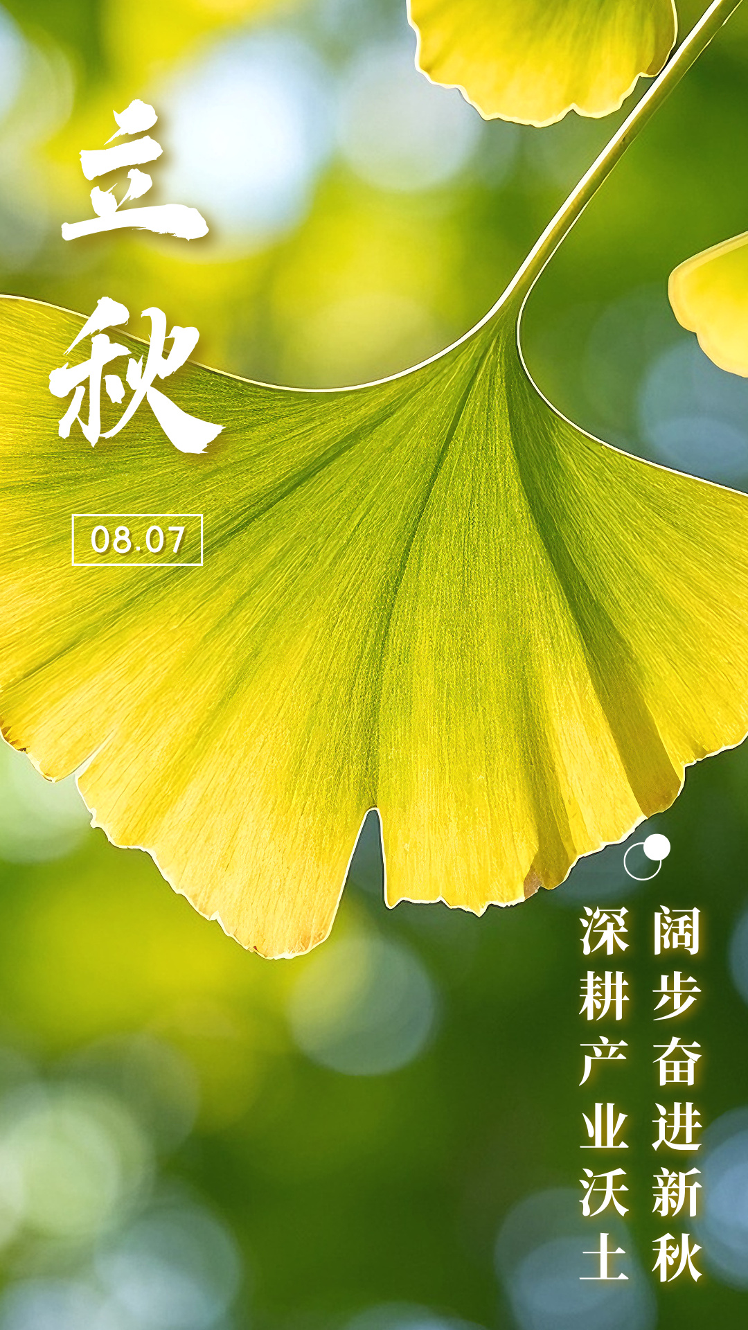 +8.7立秋主題宣傳手機海報__2025-08-05+10_23_54.jpg
